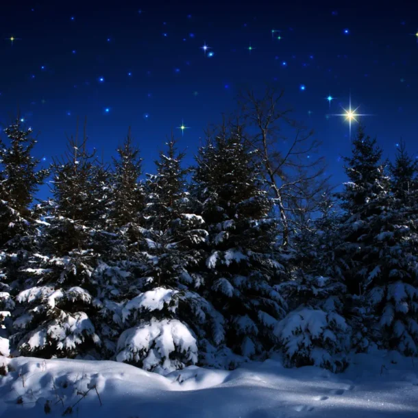 Cele 12 Nopți Sfinte