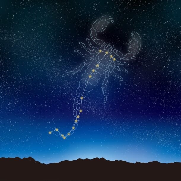 Noaptea 11 — Poarta Scorpionului